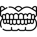 Prótesis total